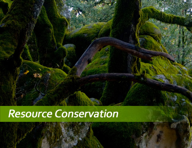 L'Oréal display system